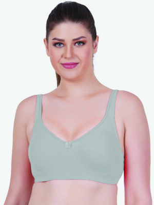 Zoom Women's Regular Bra Z-1206-GREY